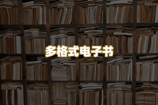 多格式电子书